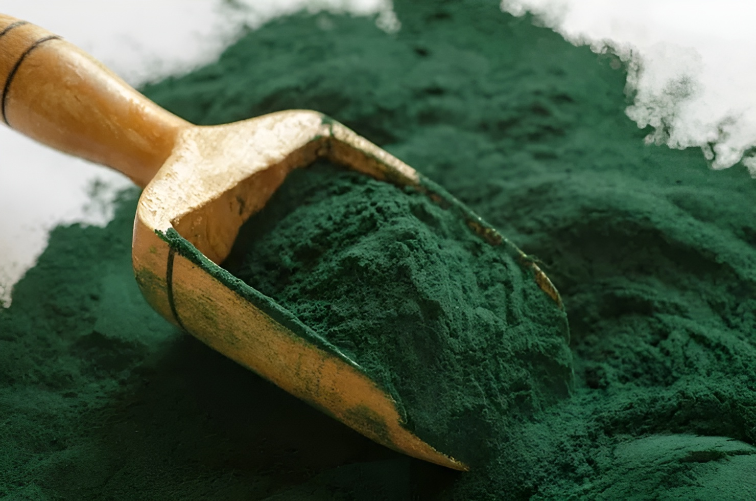 اسپیرولینا